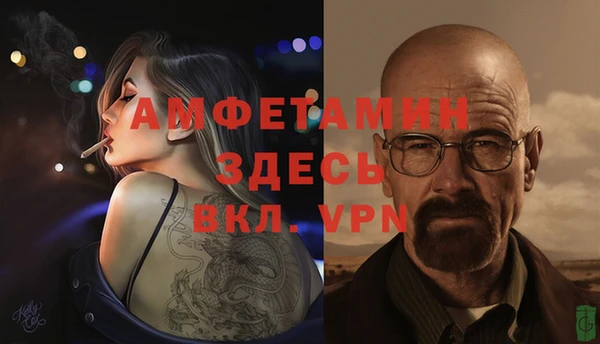 амф Верхний Тагил
