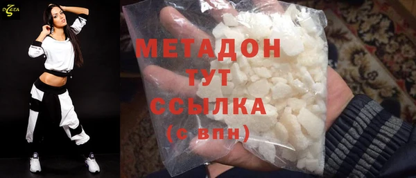 шишки Белокуриха
