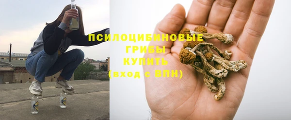 амф Верхний Тагил
