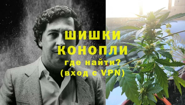 шишки Белокуриха