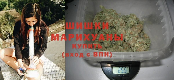 шишки Белокуриха