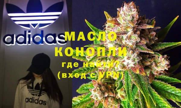 амф Верхний Тагил