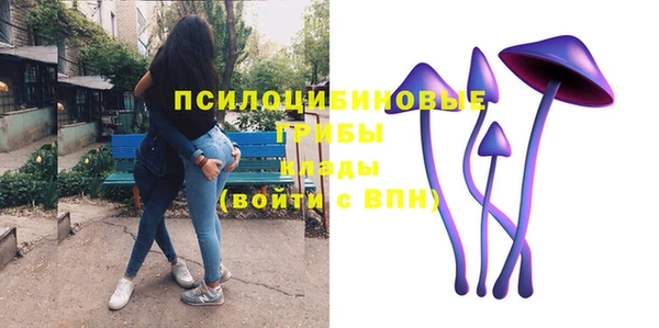 амф Верхний Тагил